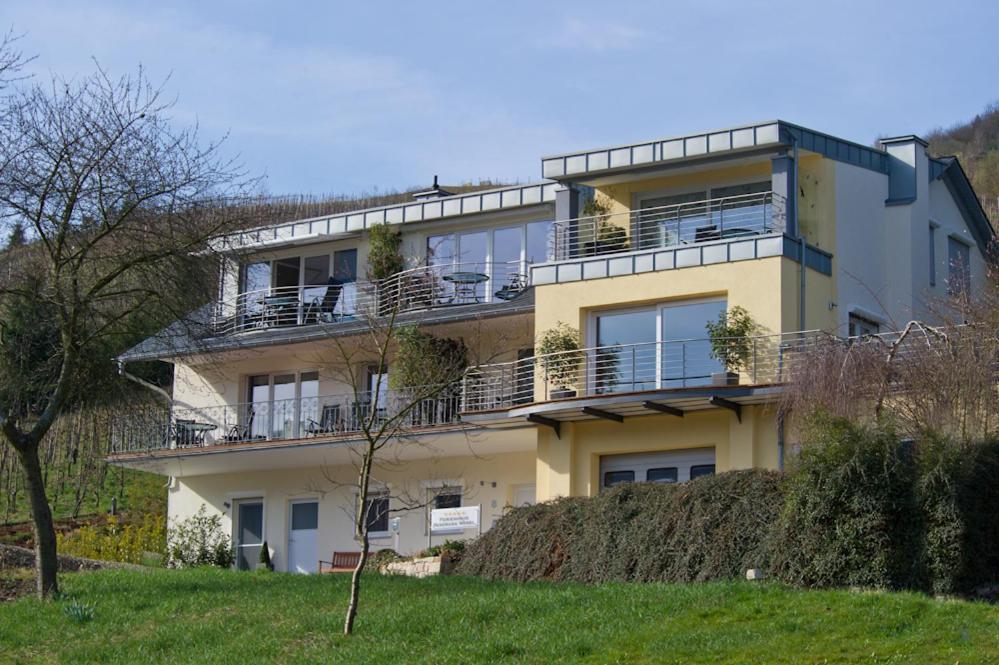 Ferienhaus Panorama Mosel Reil Ngoại thất bức ảnh